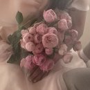 W.웨딩촬영소품, 시안 정하기(with 대구 크로아하우스)