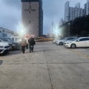 국제냉삼 이미지
