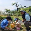 봉오초등학교병설유치원 이미지
