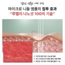 (주)루벨리 | 기미 잡티 색소침착 연어 앰플 추천 | 루벨리 PDRN 나노샷100