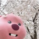 덕암호캠핑장 이미지
