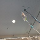 연세 화장실 | 연세아란산부인과 장정호 원장님 제왕절개 후기, 4박 5일 입원실 후기