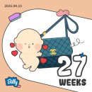 [임신 27- 29w] 입체초음파로 우주 증명사진 성공 / 만삭촬영 / 코엑스 베페