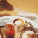 홀톤커피 이미지