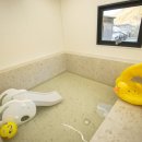 스테이700 이미지