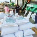 합천호대병 이미지