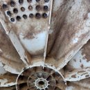 수원시 팔달구 팔달문로115번길 이미지