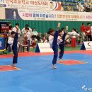 한가림 다올 태권도장 이미지