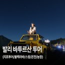 용암농장 | 발리 바트루산 지프투어 후기 (일출/블랙라바/바투르온천/커피농장/발리스윙)