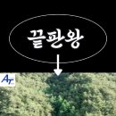 속세를 떠날 분 보세요! 국유림 품은 힐링 명당 800만원 실화인가요? #옥션통 #경매정보 #자연인땅 이미지