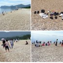 콩돌해변 Daum카페