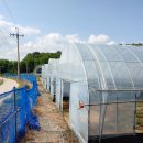 두동슈퍼 이미지