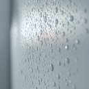 새평화세탁소 | 좀벌레 원인 발견 후 24시간 만에 해결한 놀라운 방법