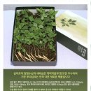 맥 태권도장 이미지