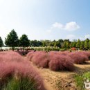 청산정원 이미지