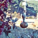 청산추억 이미지