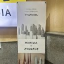 권문혜헤어아트 | 수원 미용실 헤어다이아 수원역점 레드브라운 뿌리 염색 후기