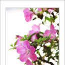 걸포중앙공원 이미지