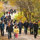 (주)제주프리투어 이미지