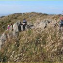 광성토굴새우젓 이미지