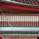 원메이저 자이 이미지