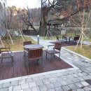 푸른숲공인중개사사무소 이미지