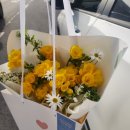 소가화 이미지