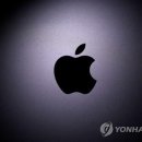 애플 이미지
