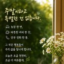 건강한오늘