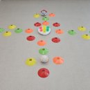 개와 집사의 시간 이미지