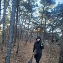 명산100+, 옥천 장령산 1호 인증자가 될까 싶은 마음에...