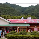 철암농산물 이미지