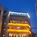 레인보우앵무새카페 | 용산 용리단길 <서울 앵무새> 후기 _ 삼각지 핫플레이스