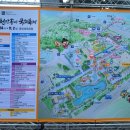 동서로~선화로 이미지