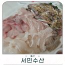 서민수산 | 울산 성안동 맛집 맛있고 신선한 회 서민수산