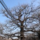 반계리 경로당 이미지