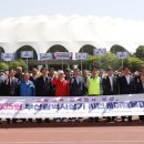 부산진구 체육회 이미지