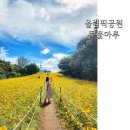 서울 꽃구경 올림픽공원 들꽃마루에 위치한 황화/ 노랑 코스모스