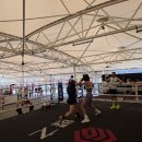 삼성권투체육관 이미지