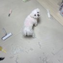 매화로2길 이미지