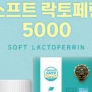 천기초조은웰빙 이미지