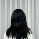 헤어 손상모 추천템 :: 벨모어 이공 샴푸 & 이공 헤어에센스