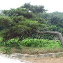 내석농장 이미지