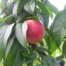 시진농장 이미지