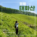 영월읍-16(흥월리 흥교) | 영월 태화산 등산코스, 흥교 태화산 농장 최단코스 주차 소요시간 밀밭뷰