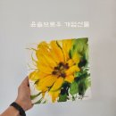윤솔브로우 네이버블로그