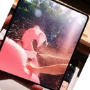 선비세탁소 이미지