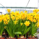 우림가든 이미지