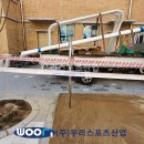 옥빛초등학교 이미지