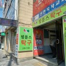 핌플스탁구